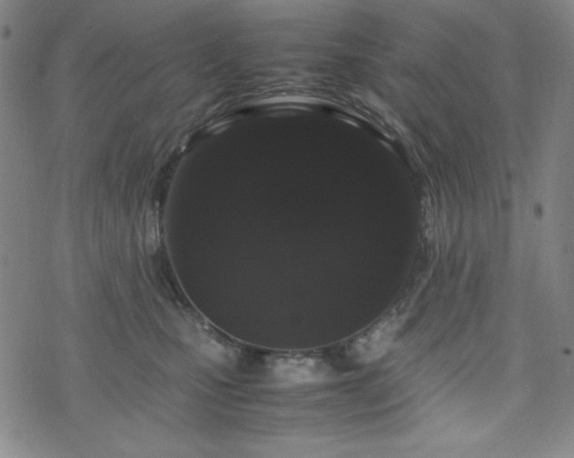 X0000071840471200606301317