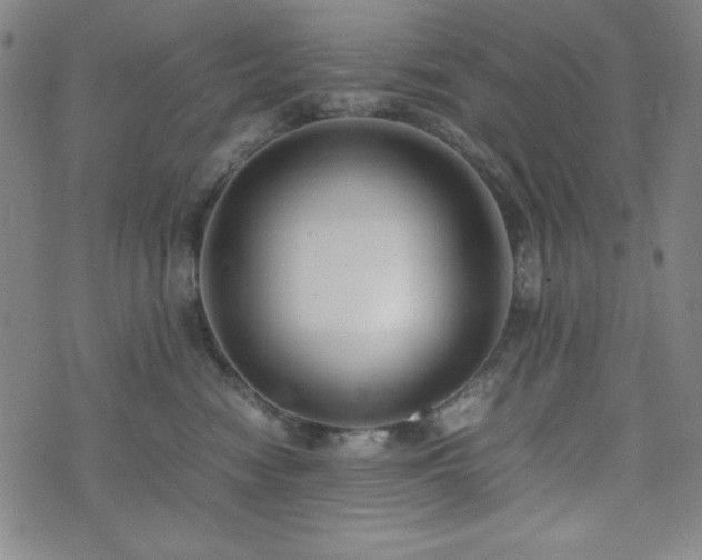 X0000071840474200606301317