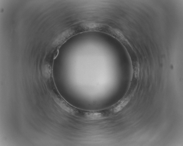 X0000071840476200606301317