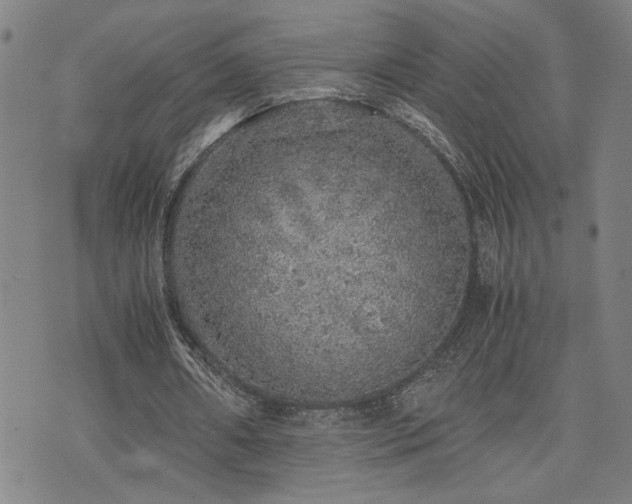 X0000071840482200606301316