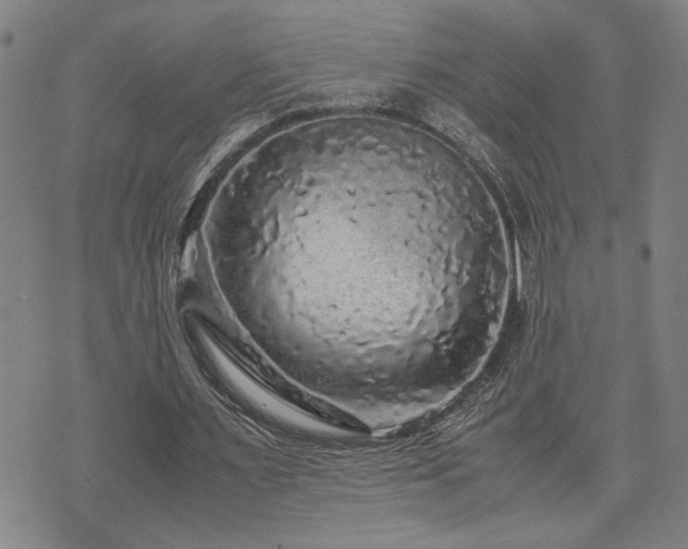 X0000071840483200606301316