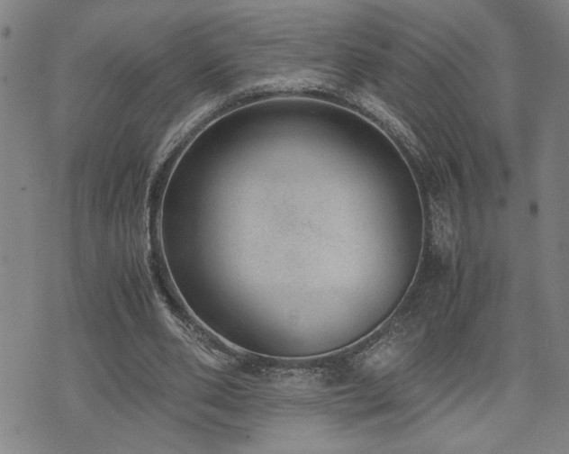 X0000071840486200606301316