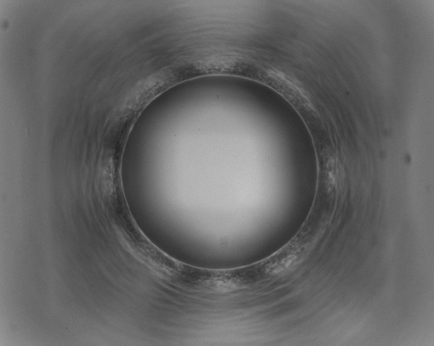 X0000071840498200606301316
