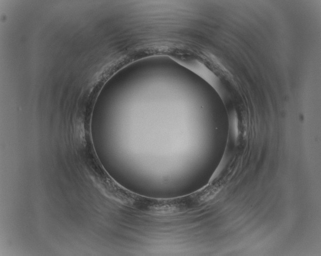 X0000071840500200606301316