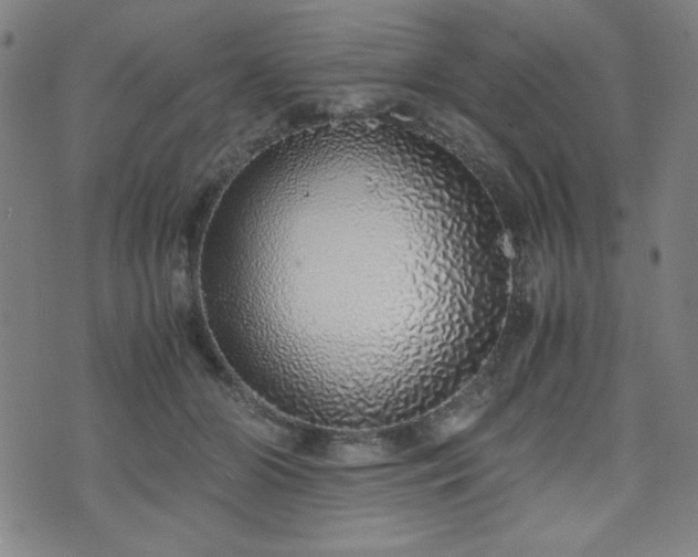 X0000071840510200606301316