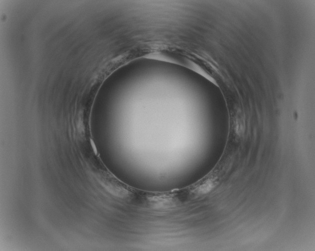 X0000071840516200606301316