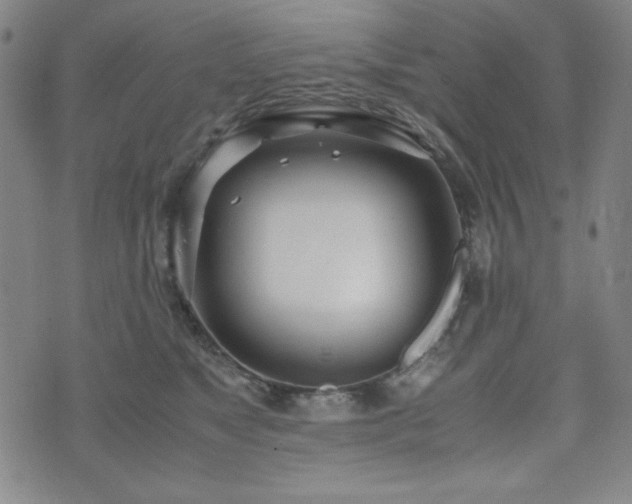 X0000071840517200606301315