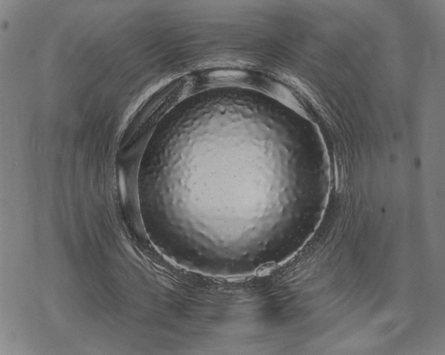 X0000071840531200606301315