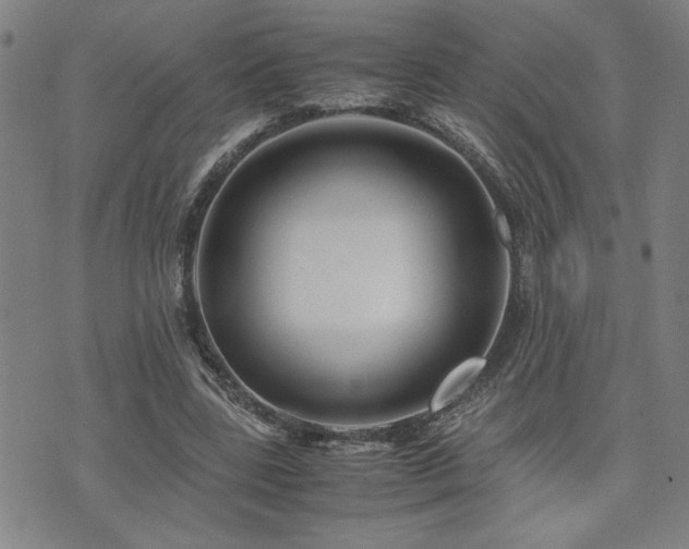 X0000071840539200606301315