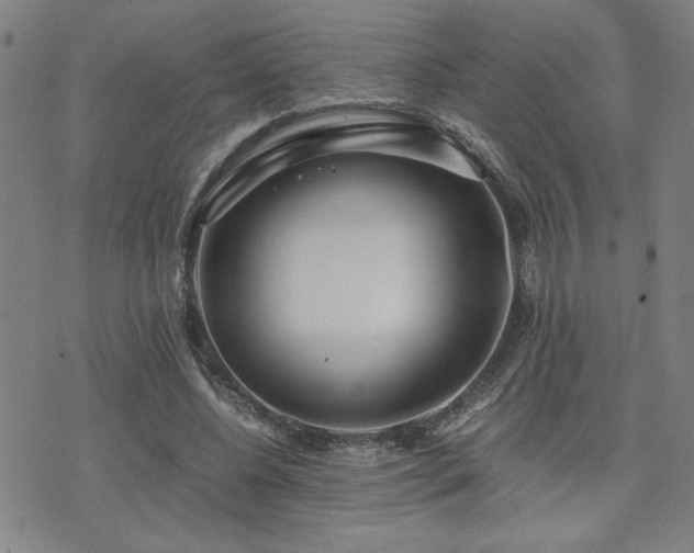 X0000071840540200606301315