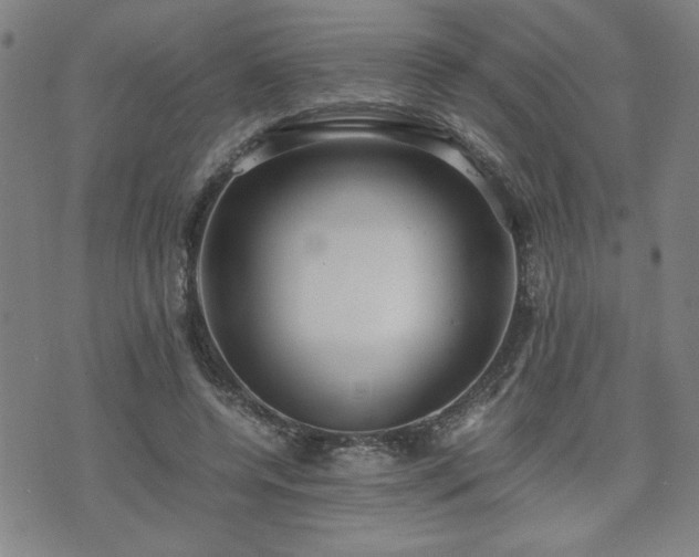 X0000071840544200606301315