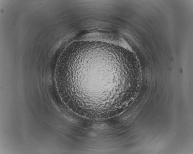 X0000071840547200606301315