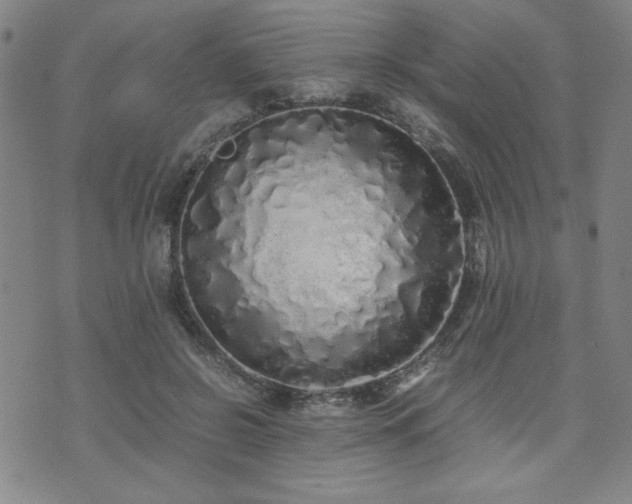 X0000071840550200606301315