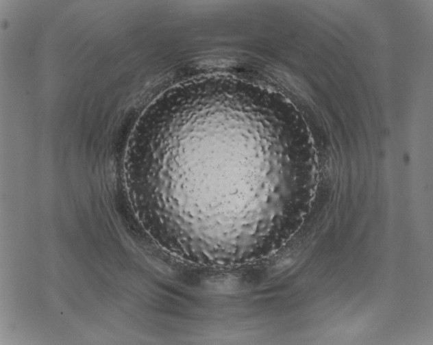 X0000071840551200606301315