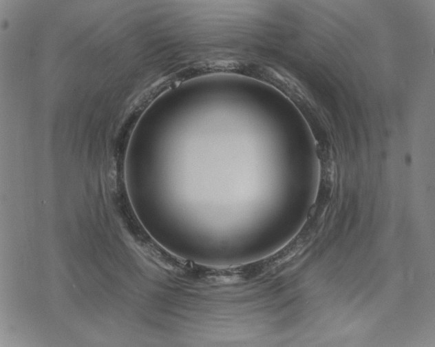 X0000071840552200606301315