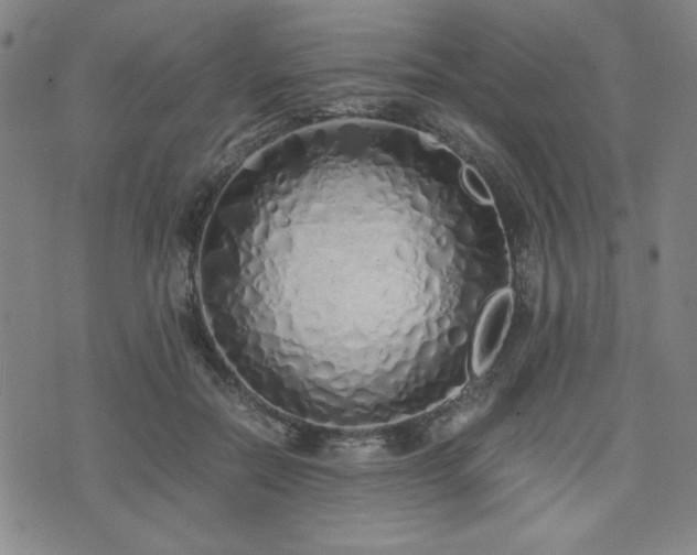 X0000071840554200606301315