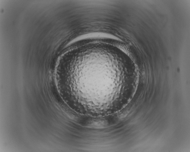 X0000071840555200606301315