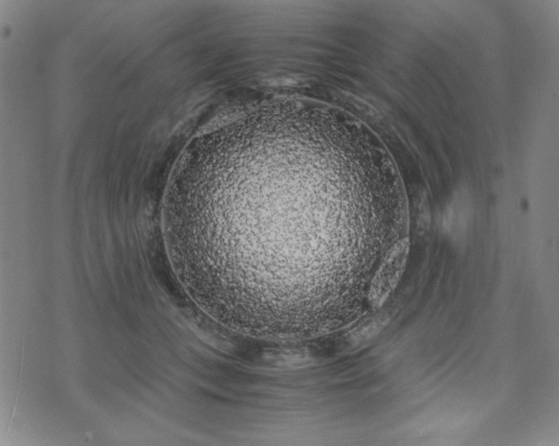 X0000071840559200606301315