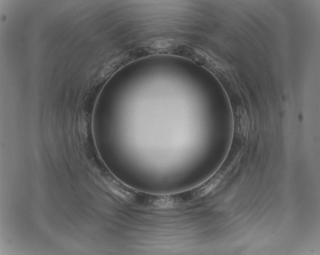 X0000071840562200606301315