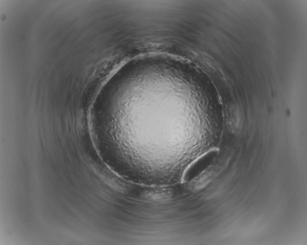 X0000071840563200606301315