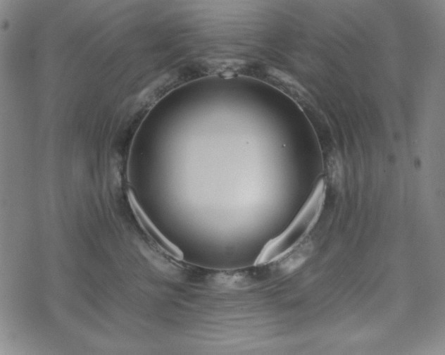 X0000071840570200606301315