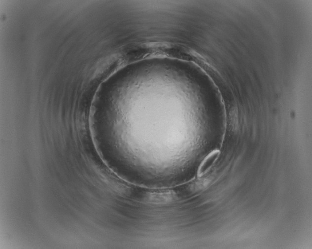 X0000071840571200606301315