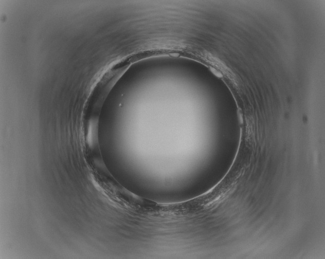 X0000071840580200606301314