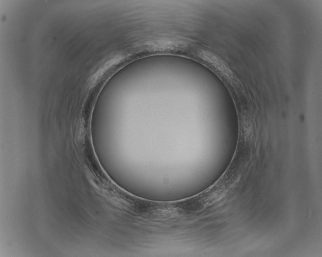 X0000071840583200606301314