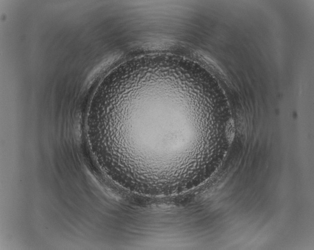 X0000071840586200606301314