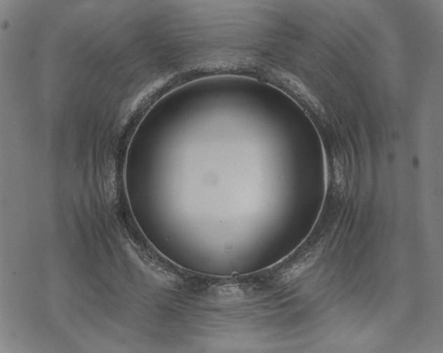X0000071840588200606301314