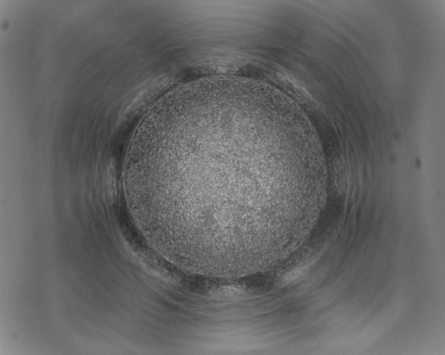 X0000071840594200606301314