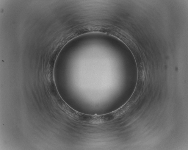 X0000071840604200606301314