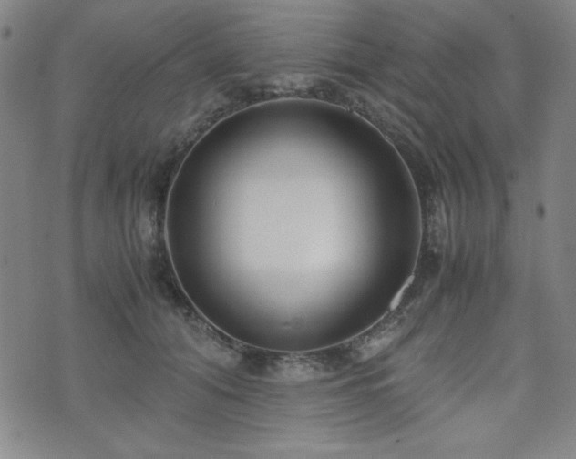 X0000071840608200606301314