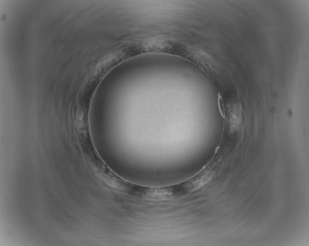 X0000071840619200606301314