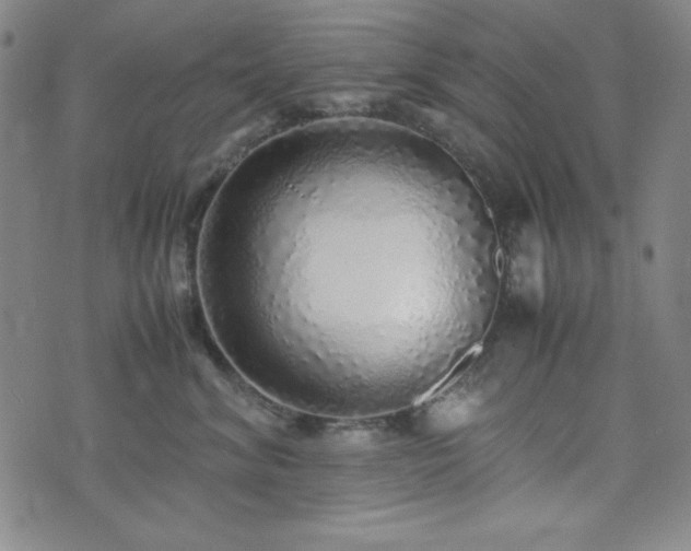 X0000071840620200606301314