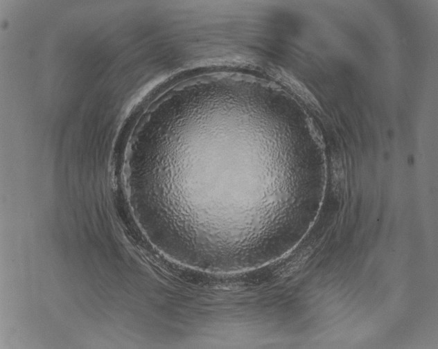 X0000071840628200606301313