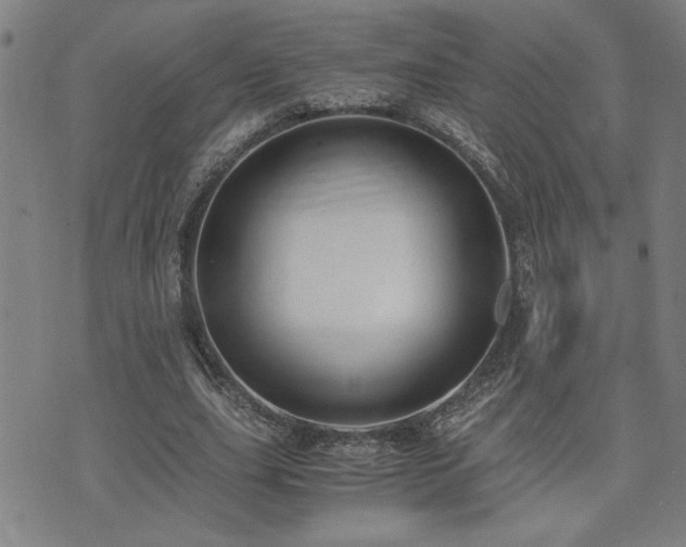 X0000071840631200606301313