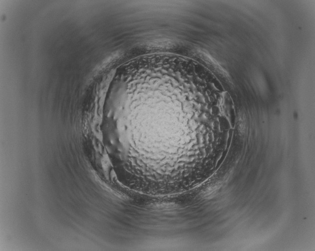 X0000071840637200606301313