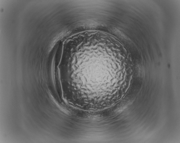 X0000071840638200606301313