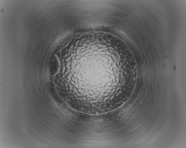 X0000071840640200606301313
