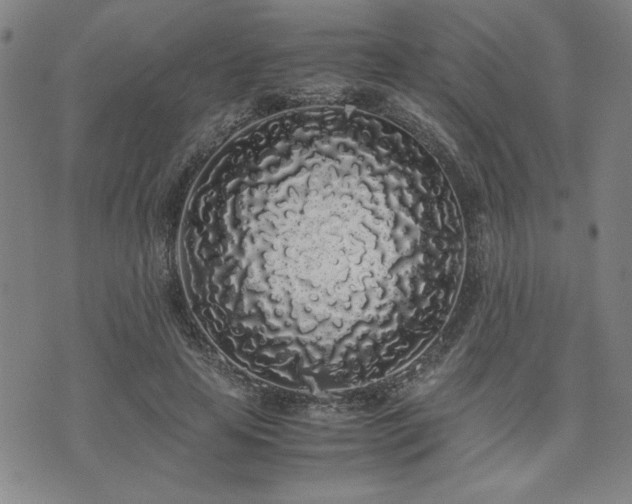 X0000071840641200606301313