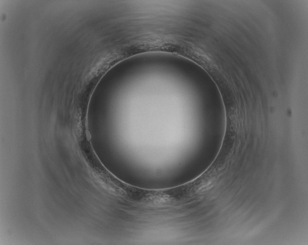X0000071840642200606301313