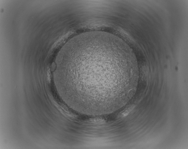 X0000071840644200606301313