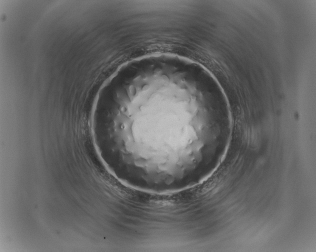 X0000071840649200606301313
