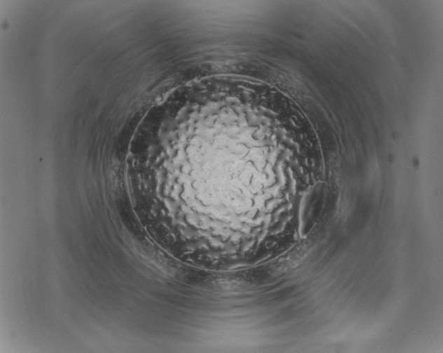 X0000071840650200606301313