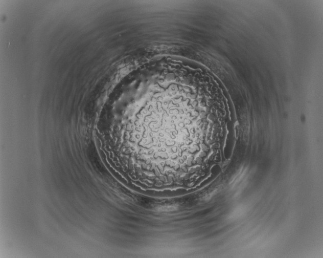 X0000071840653200606301313