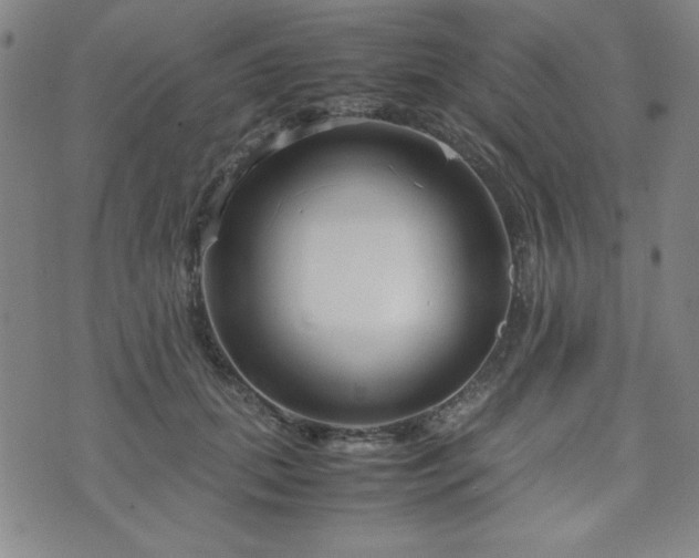 X0000071840655200606301313