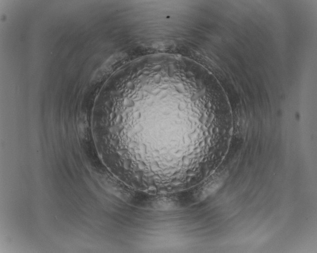 X0000071840656200606301313