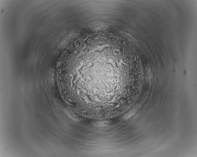 X0000071840664200606301314
