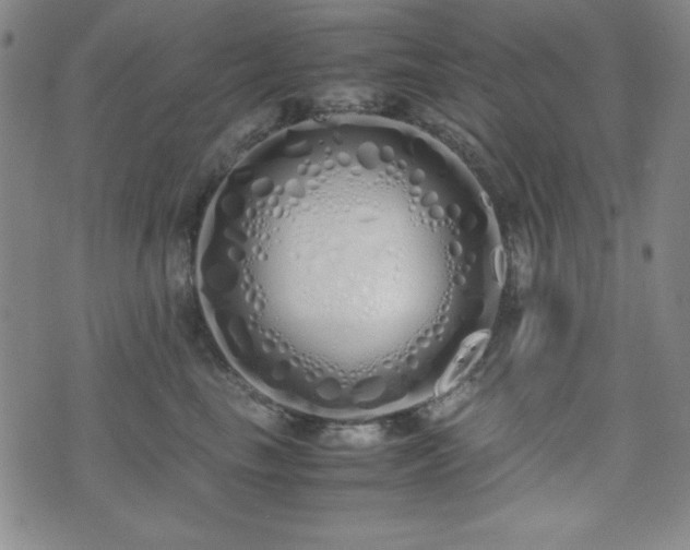 X0000071840665200606301314